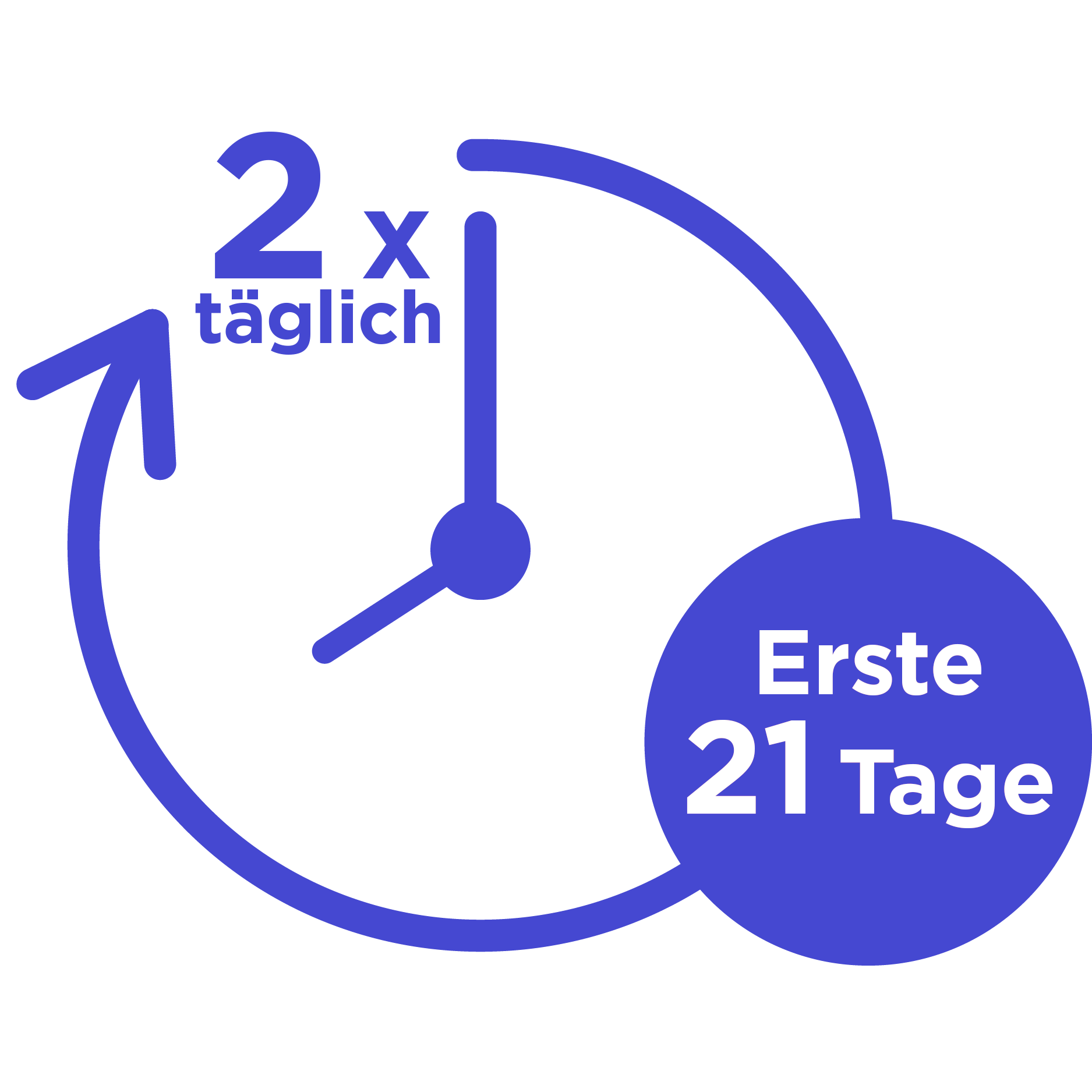 Uhr Icon zeigt die zweimal tägliche Kalibrierung für die ersten 21 Tage an; das lila Farbschema stellt einen medizinischen Zeitplan dar.