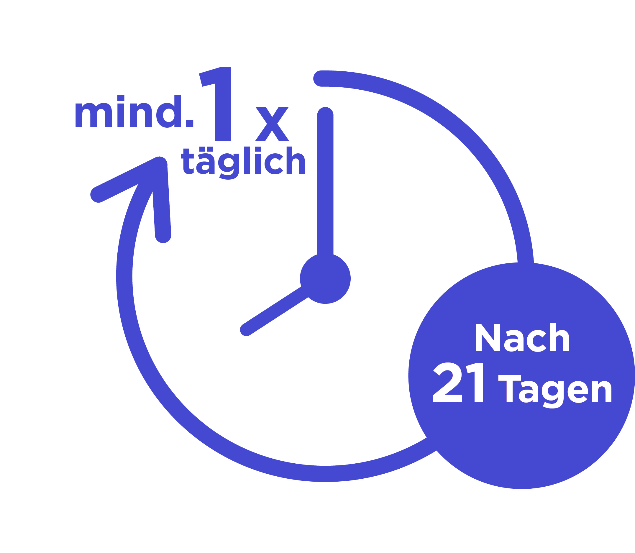 Lila Uhren-Icon mit Pfeilen, die die tägliche Aktion anzeigen.