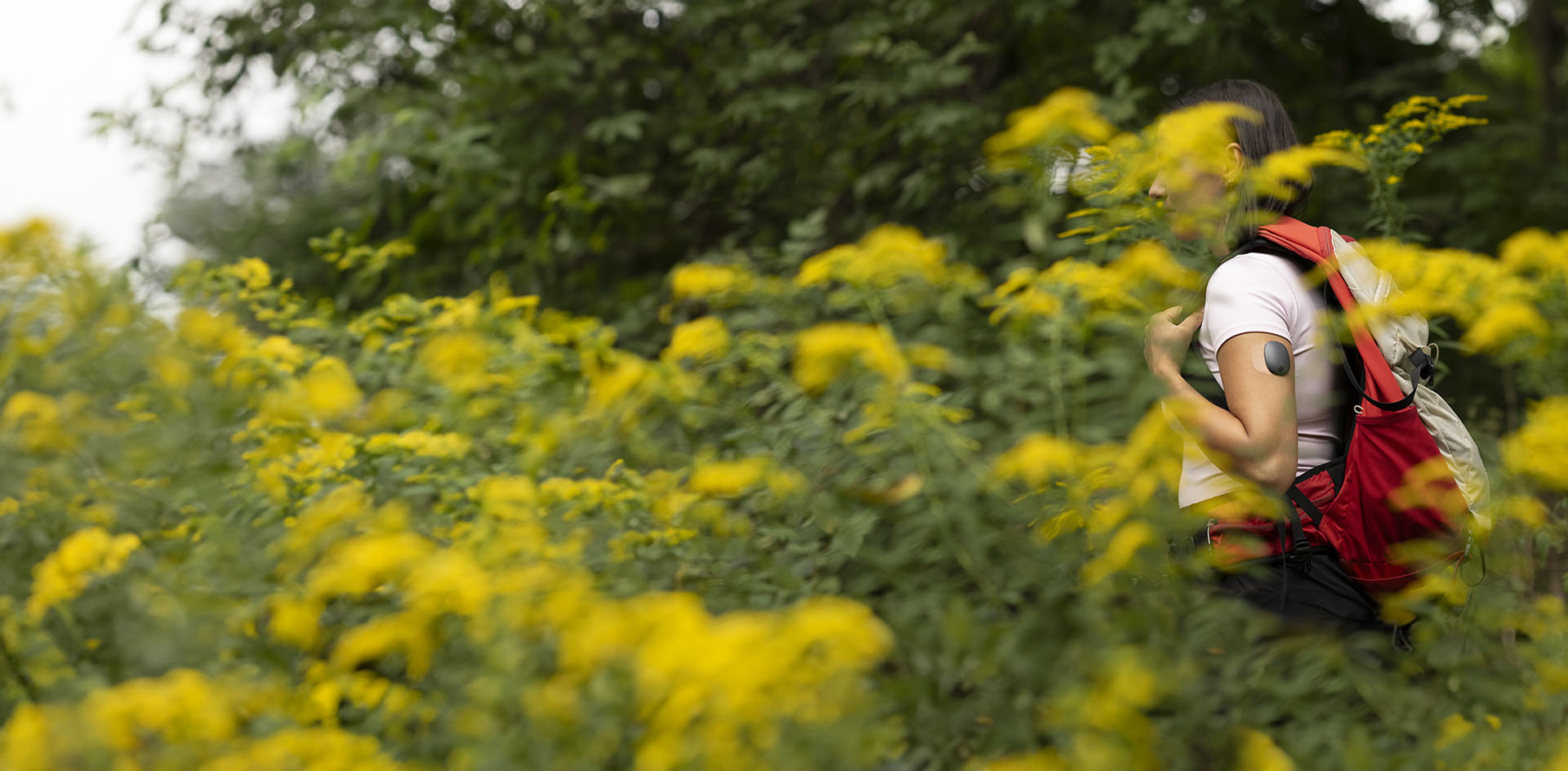 Ärztin, die sich mit implantierbaren CGM auskennt